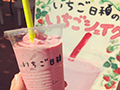 いちご日和の写真