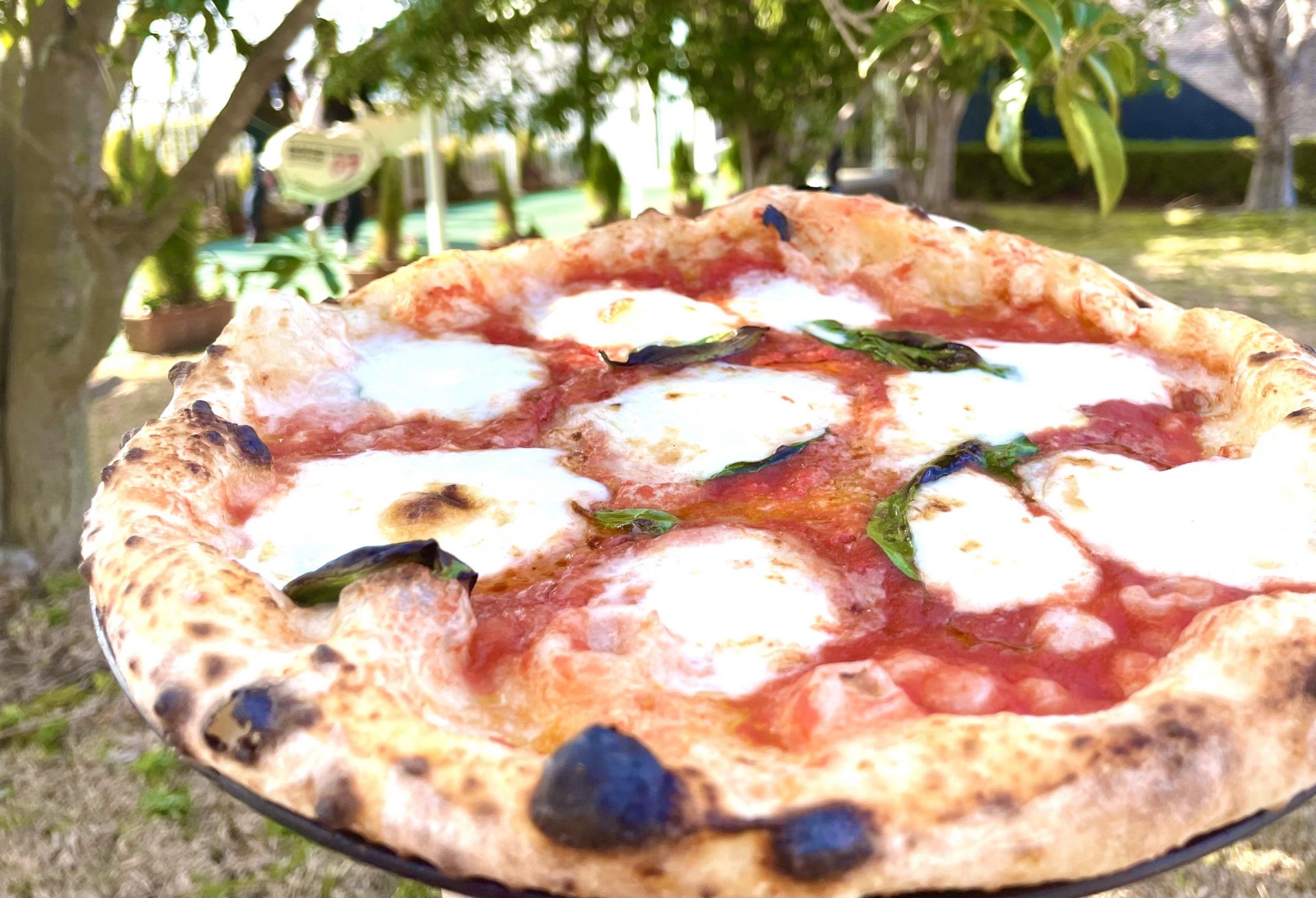 Pizza UGOの写真