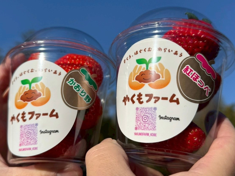 やくもファームの写真