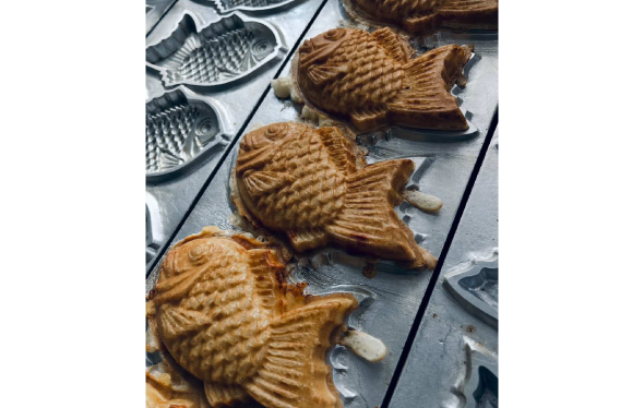 ハレノヒの写真