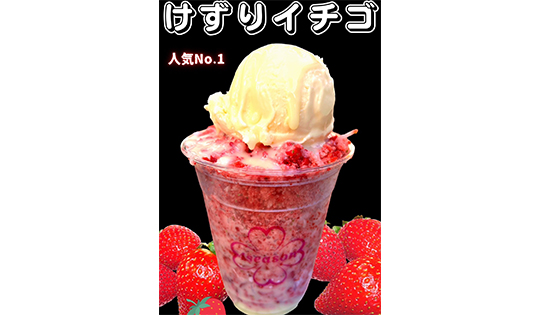 4seasonの写真