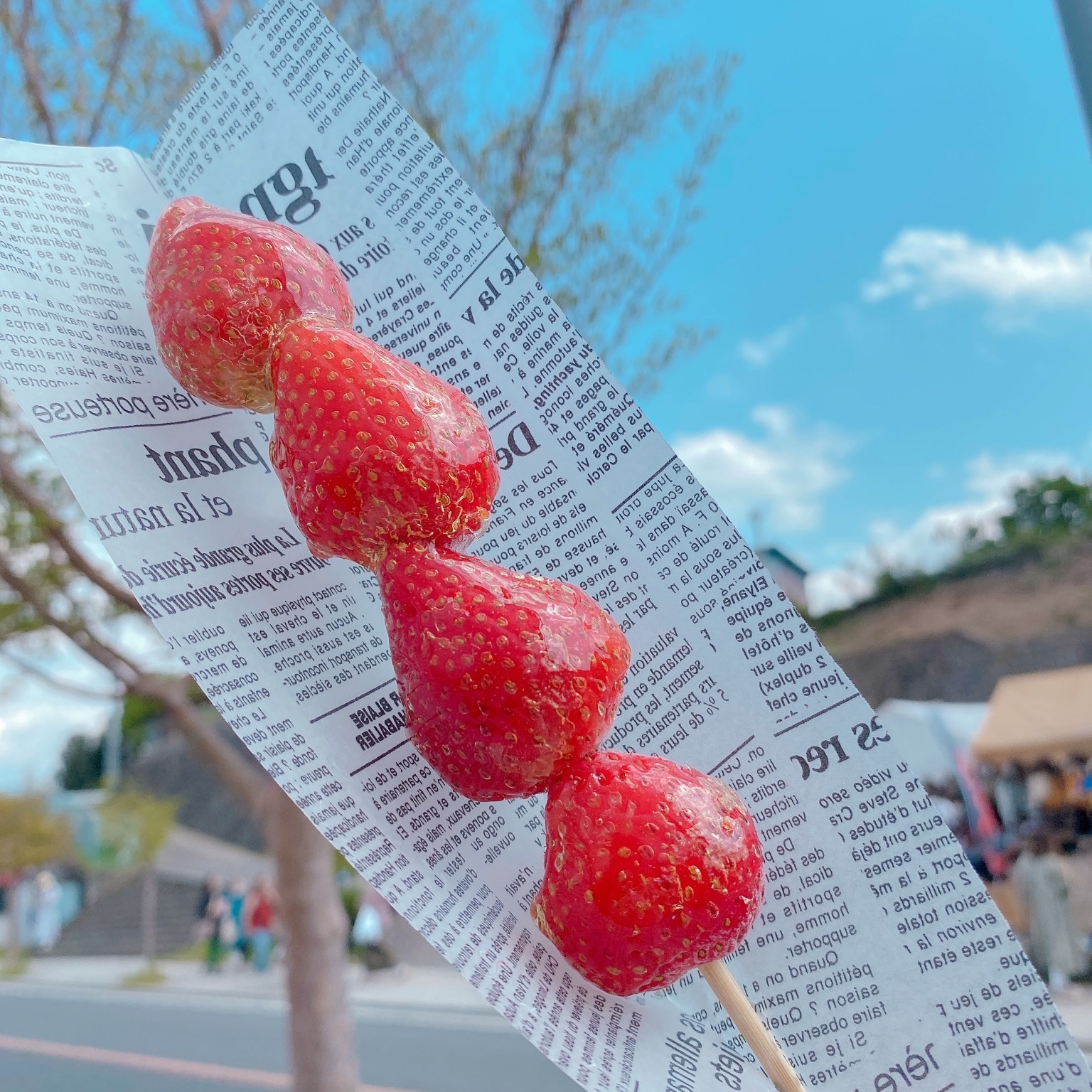 みんなの農家の写真