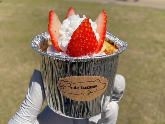 くまとICECREAMの写真