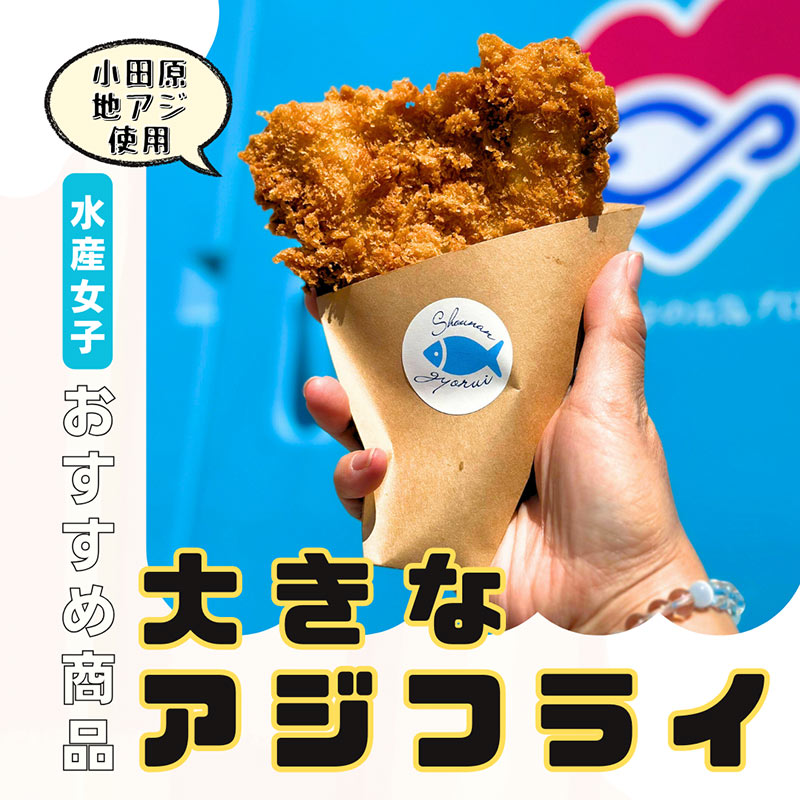 湘南魚類小田原水産女子の写真