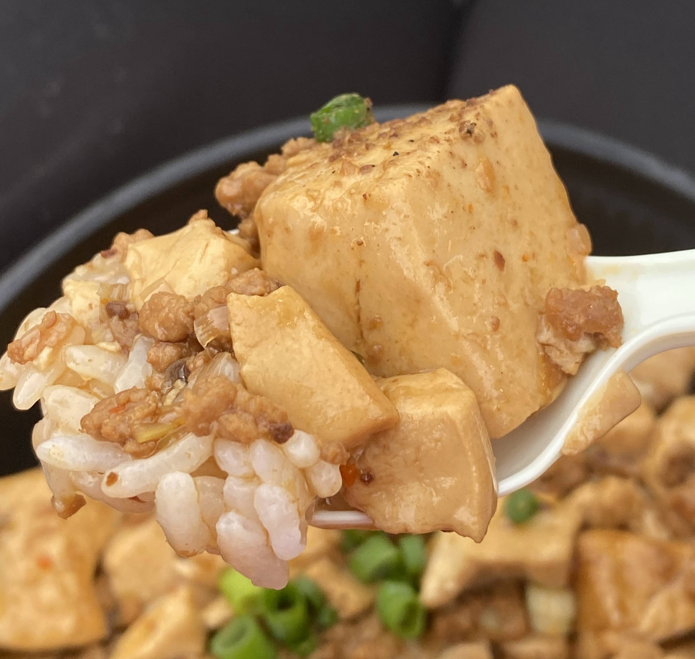 旨辛麻婆豆腐丼